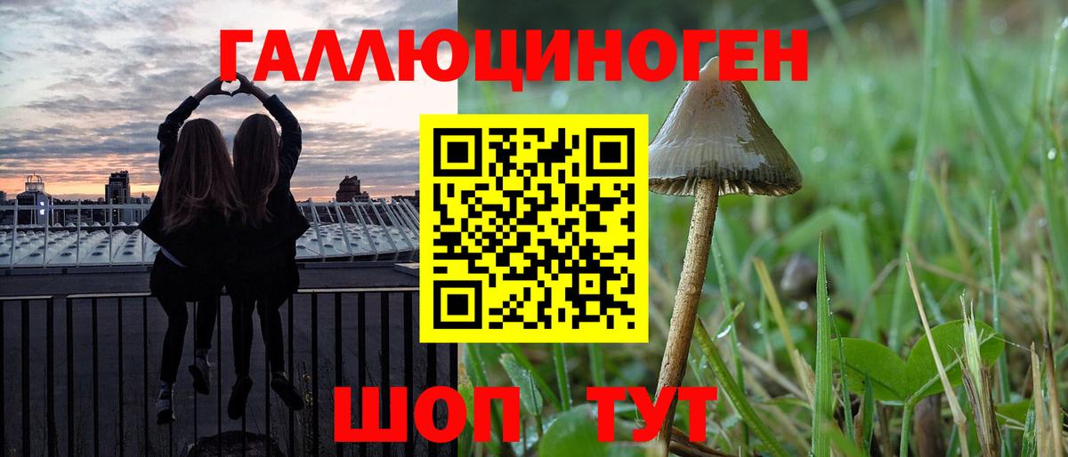 Галлюциногенные грибы GOLDEN TEACHER Майкоп
