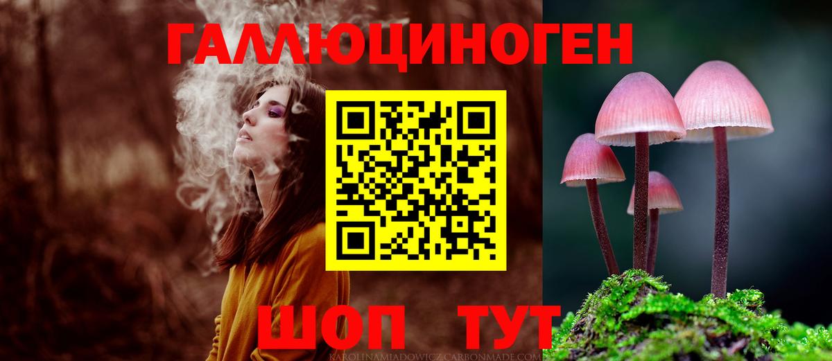 Псилоцибиновые грибы GOLDEN TEACHER  Вход с VPN  Майкоп 