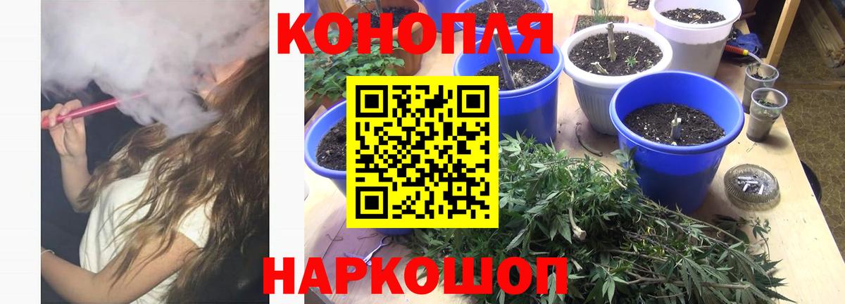 Марихуана сатива  Канабис OG Kush  Вход с VPN  Майкоп 